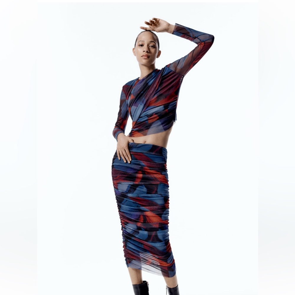 Zara NWT Printed Tulle Skirt and Top. Skirt size M and Top Large